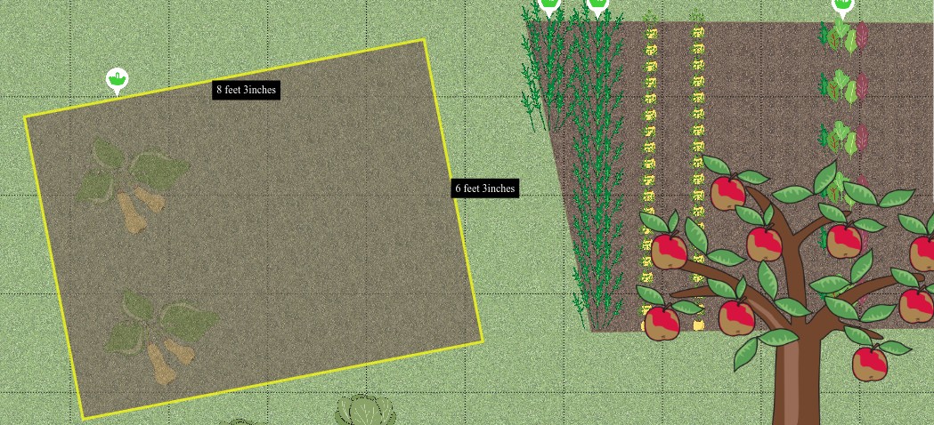 Screenshot of our allotment planner showing width and height measurements displayed on a rectangular bed