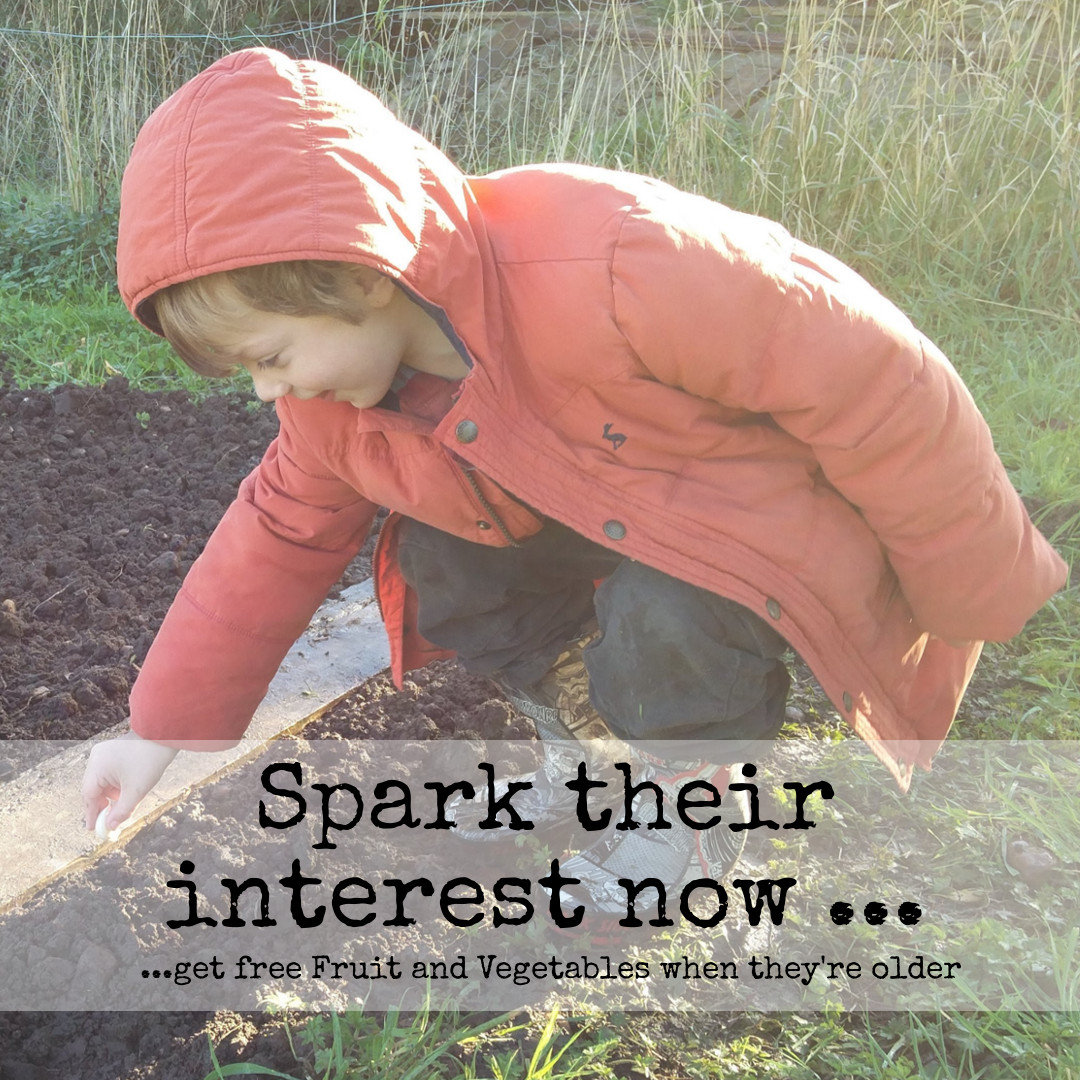 Boy planing garlic