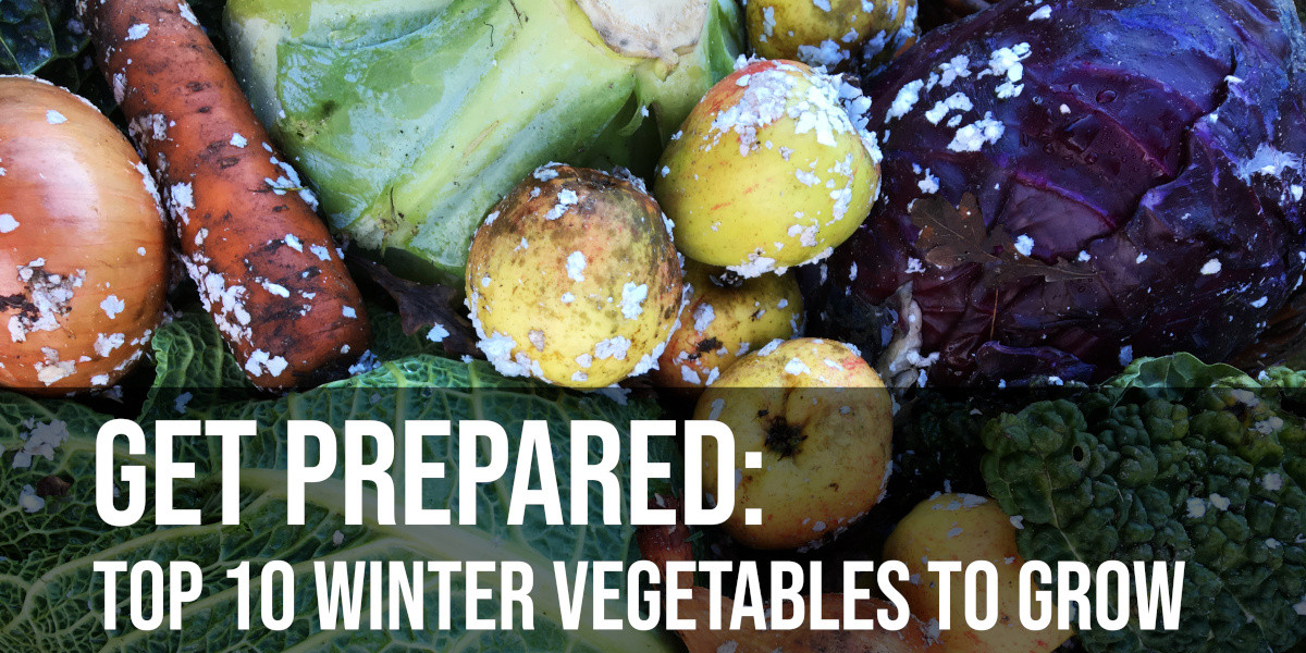 Embrace the Winter Harvest: 10 Nourishing Vegetables to Thrive in Your Cold-Weather Garden!