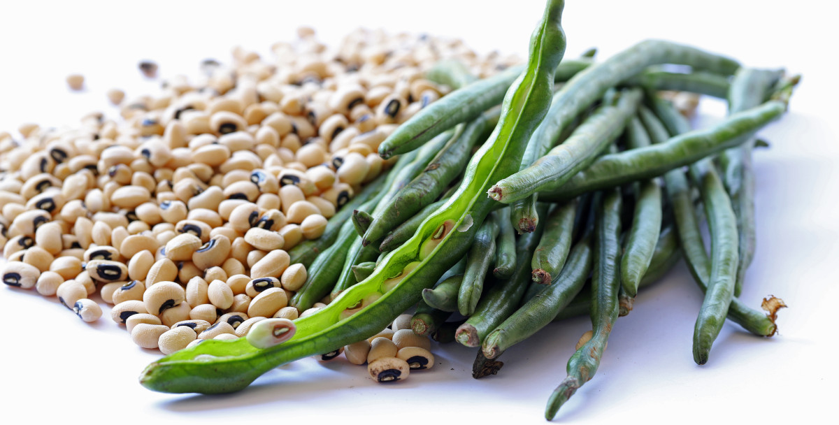 Cowpeas and their green pod